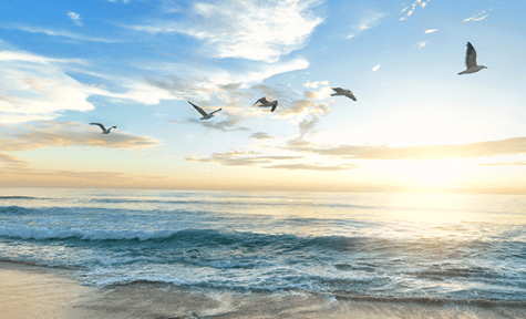 Legacy Funeral Center - Scott Chapel Obituaries & Services In ...