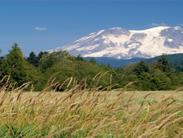 Weeks' Funeral Homes - Buckley