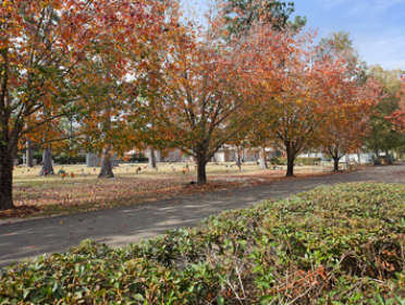 E.J. Fielding Funeral Home & Cremation Services