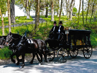 Mountain View-Colonial DeWitt