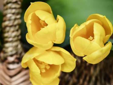 Haverstock Funeral Home