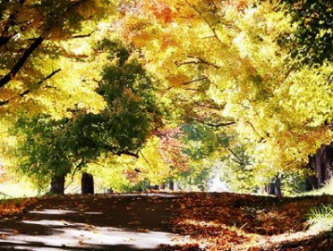 Preble Memory Gardens Funeral Center