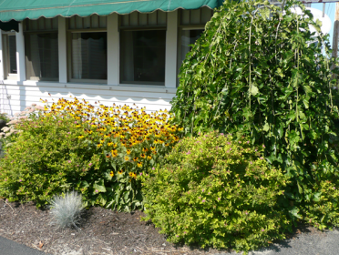 Roberts Funeral Home and Cremation Care - Winthrop