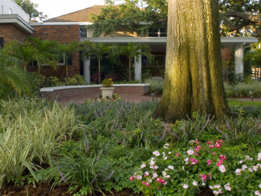 Anderson-McQueen Funeral Home - St. Petersburg