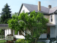 Koch Funeral Home