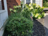 Robert S. Nester Funeral Home & Cremation Services, Inc. - New Ringgold