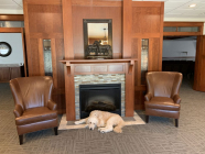 Jamison-Schmitz Funeral Home-Arlington