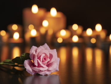Chapman Funerals & Cremations-Marston Mills